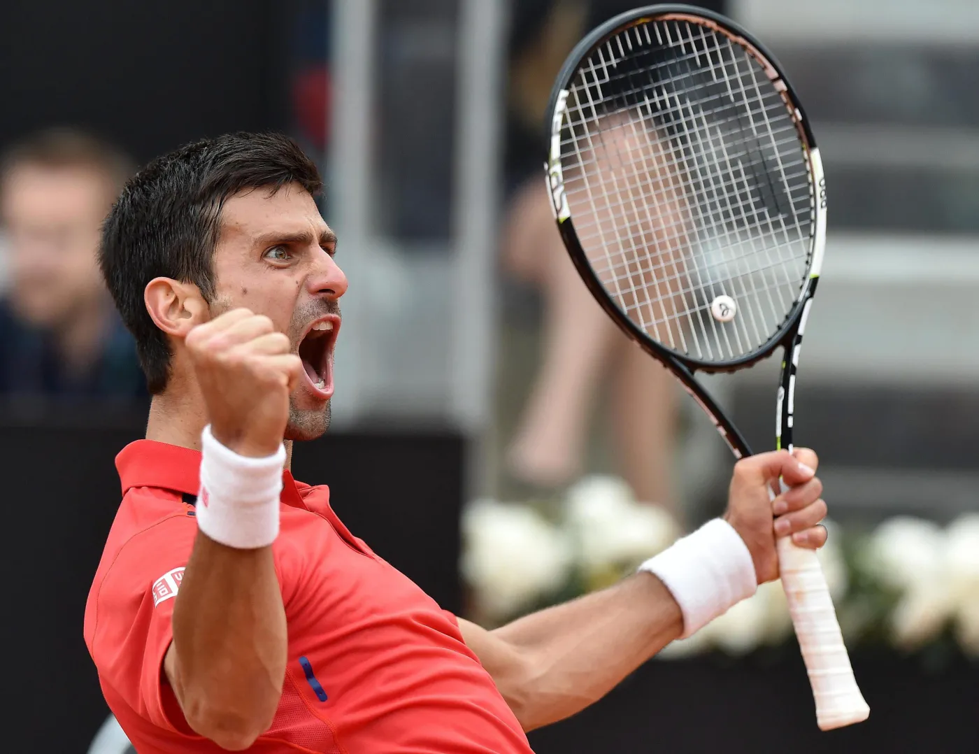 Novak Djoković