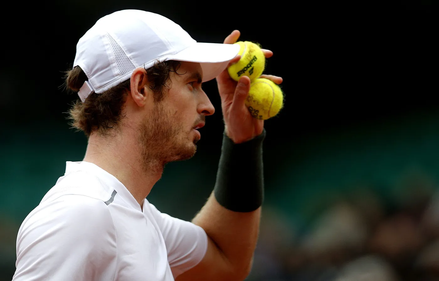 Andy Murray