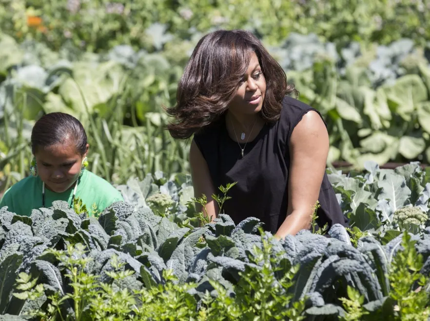 9128969-michelle-obama.jpg