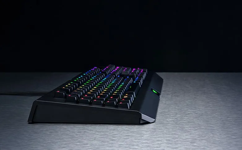 BlackWidow v2