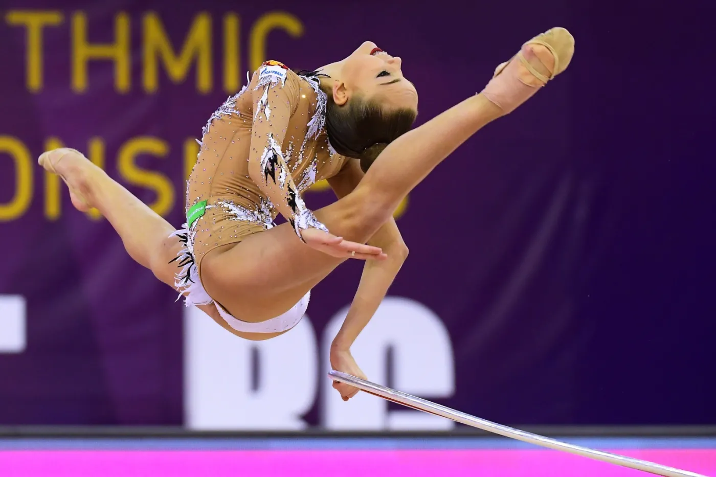 10168492-dina-averina.jpg