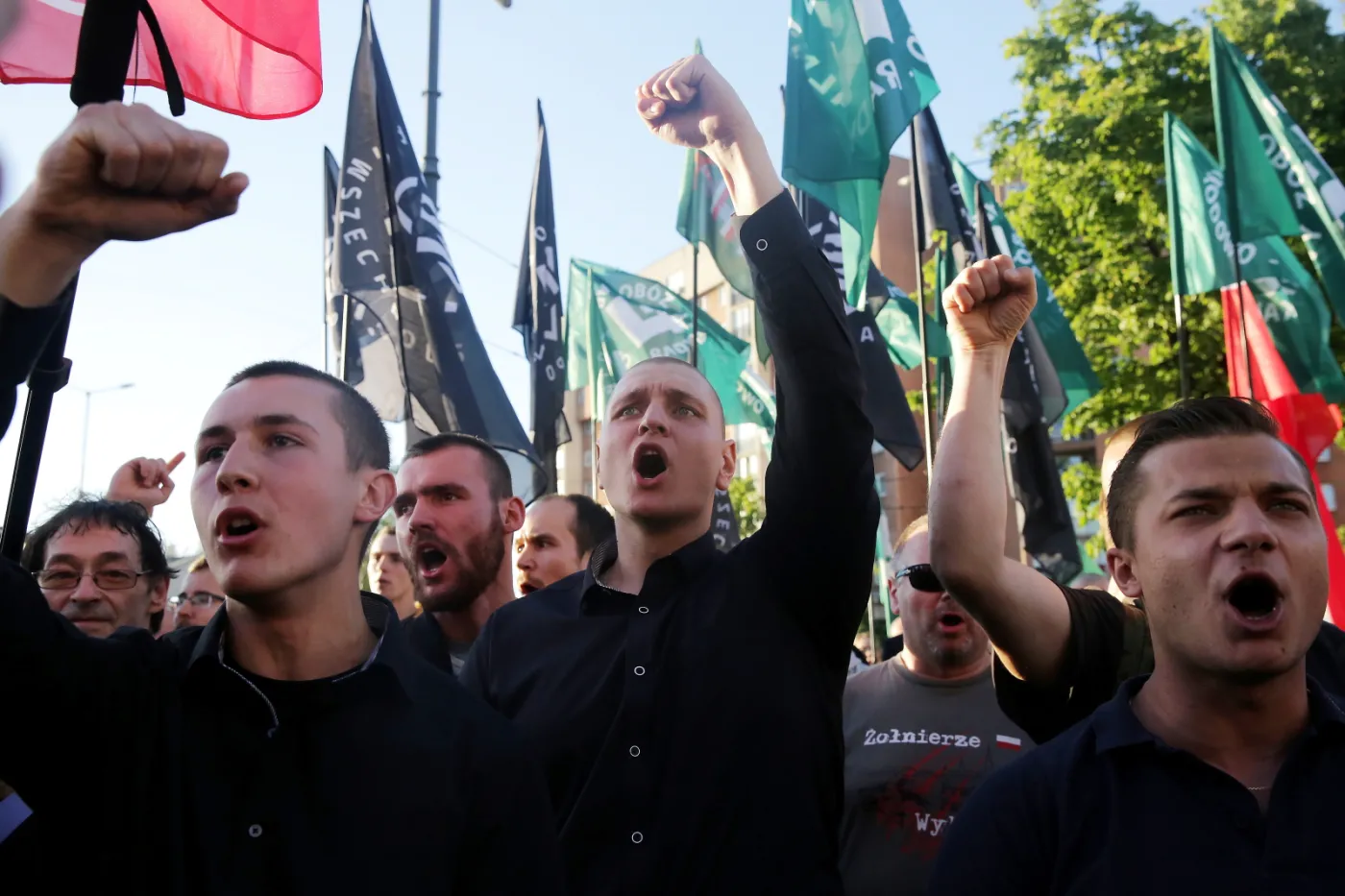 10187206-protestujacy.jpg