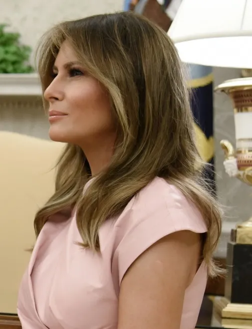 11066766-melania-trump.jpg
