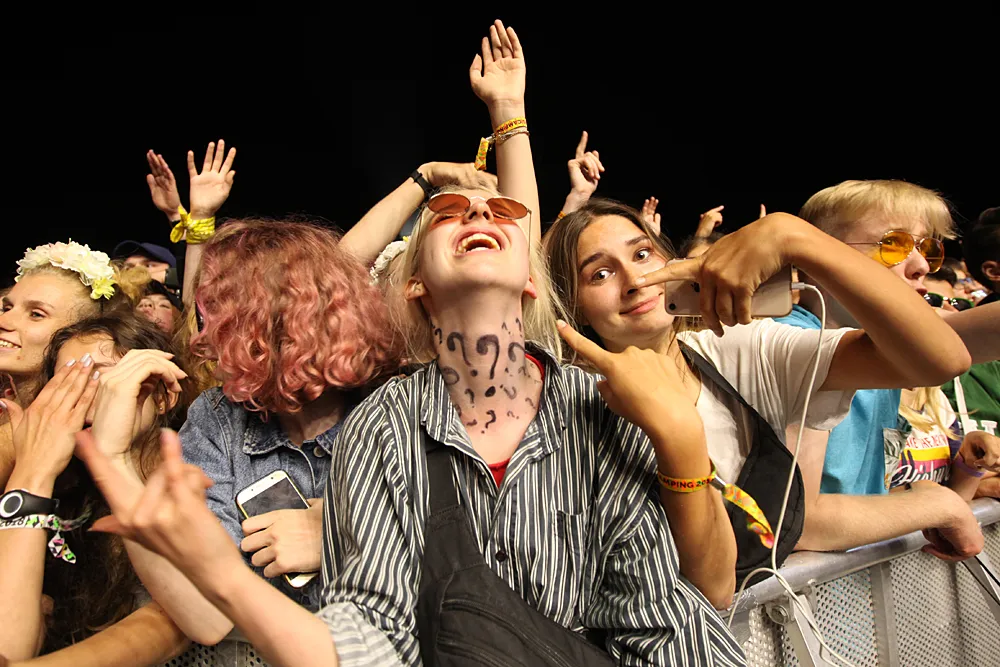 11110752-taconafide.jpg