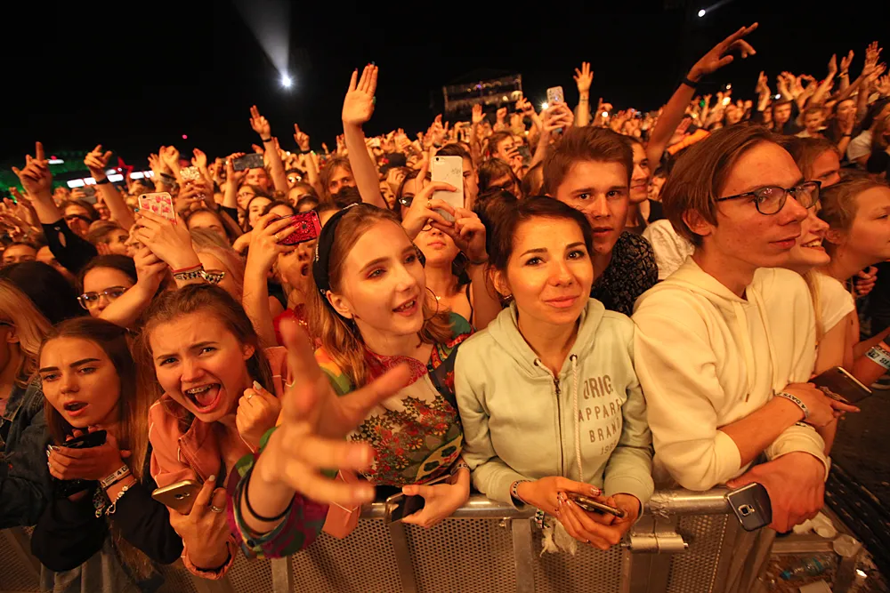 11110783-taconafide.jpg