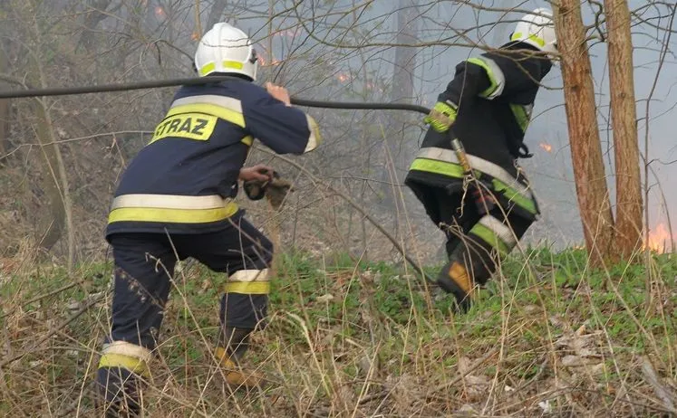 Pożar lasu