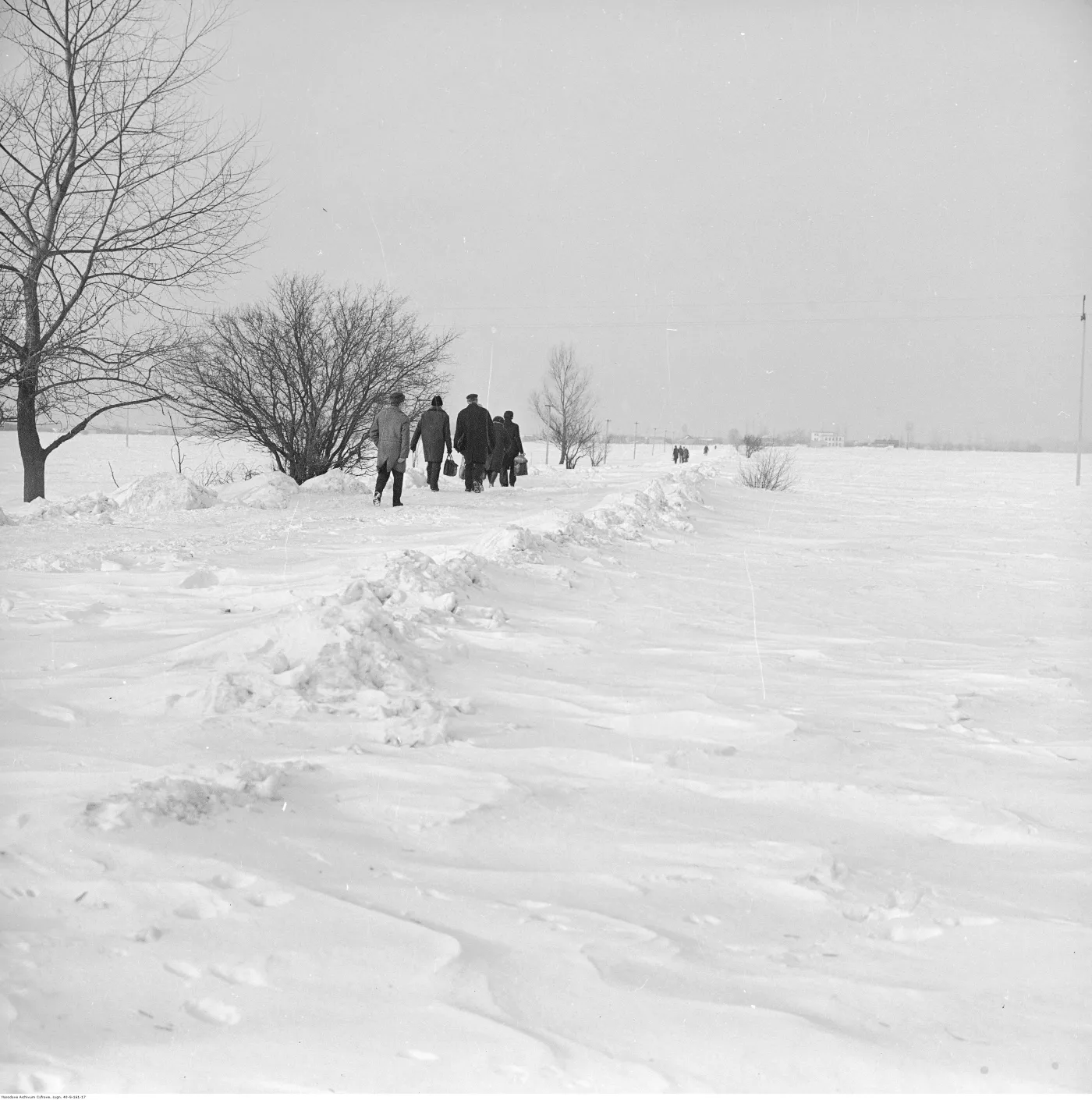11935098-zima-stulecia.jpg