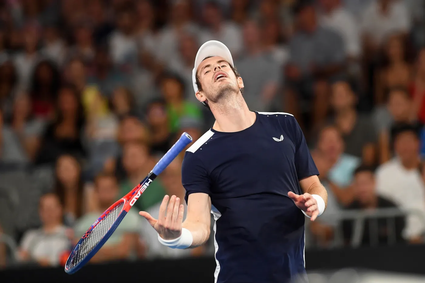Andy Murray