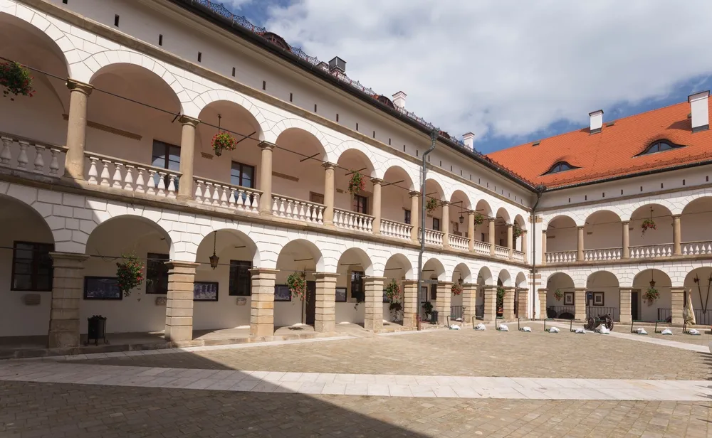 12241136-niepolomice.jpg