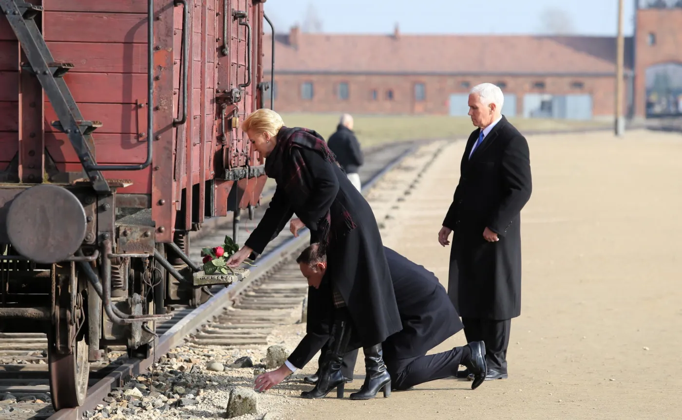 12133339-zlozenie-roz.jpg