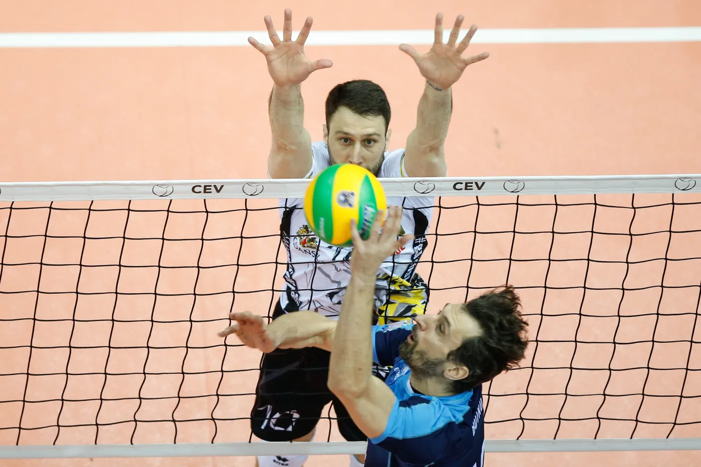 Trefl - Zenit