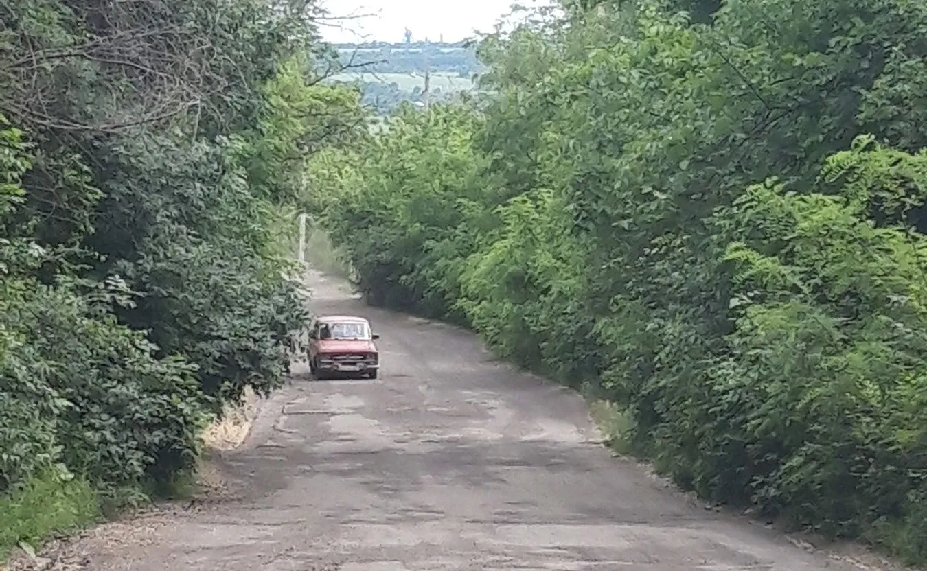 12401863-zolote-fot.jpg