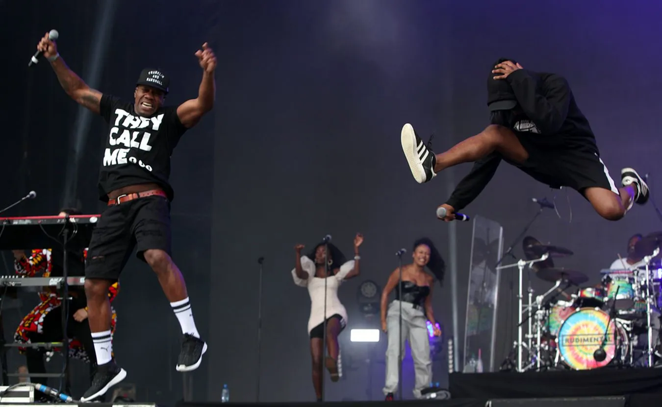12449062-rudimental.jpg
