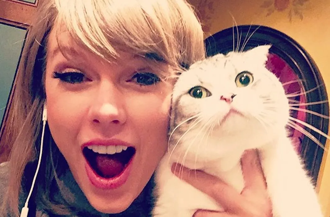 Taylor Swift