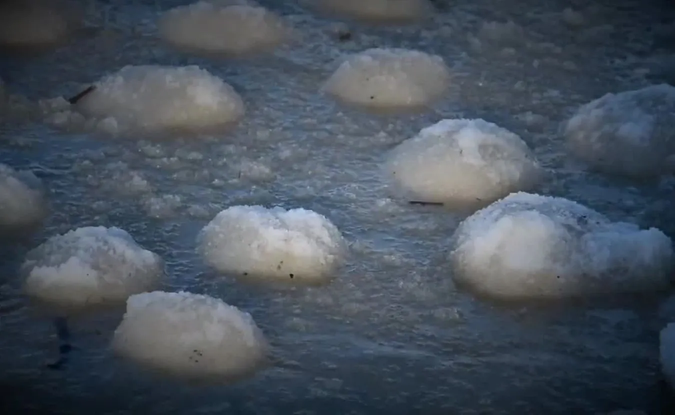 Morszkulce, czyli LODOWE KULE na plaży we Fromborku