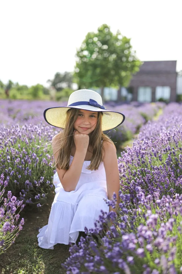 lavendowy