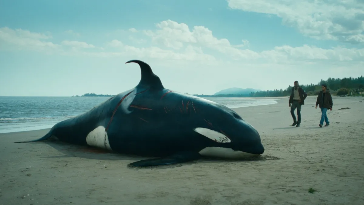 "Odwet oceanu"