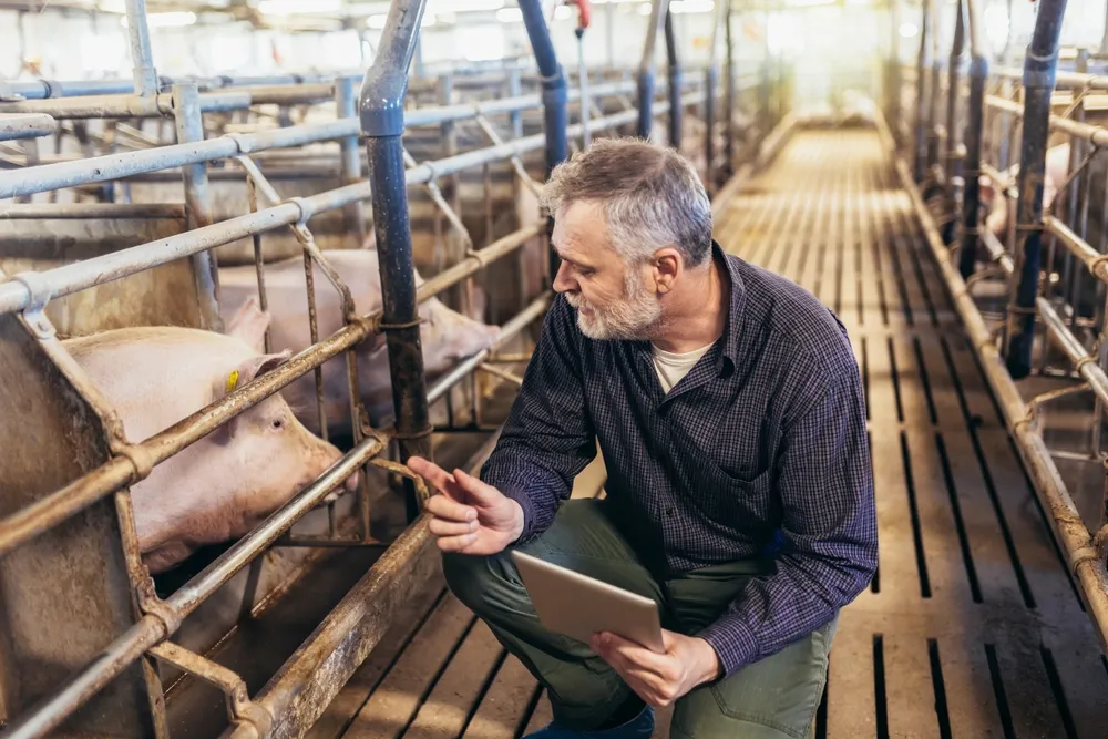"AgroKluby Platformy". Tak PO chce pozyskać rolników