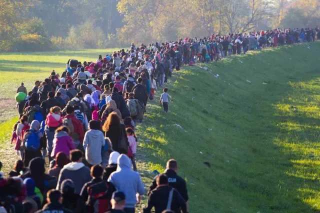 Co Polacy myślą o imigrantach? Oto wyniki SONDAŻU