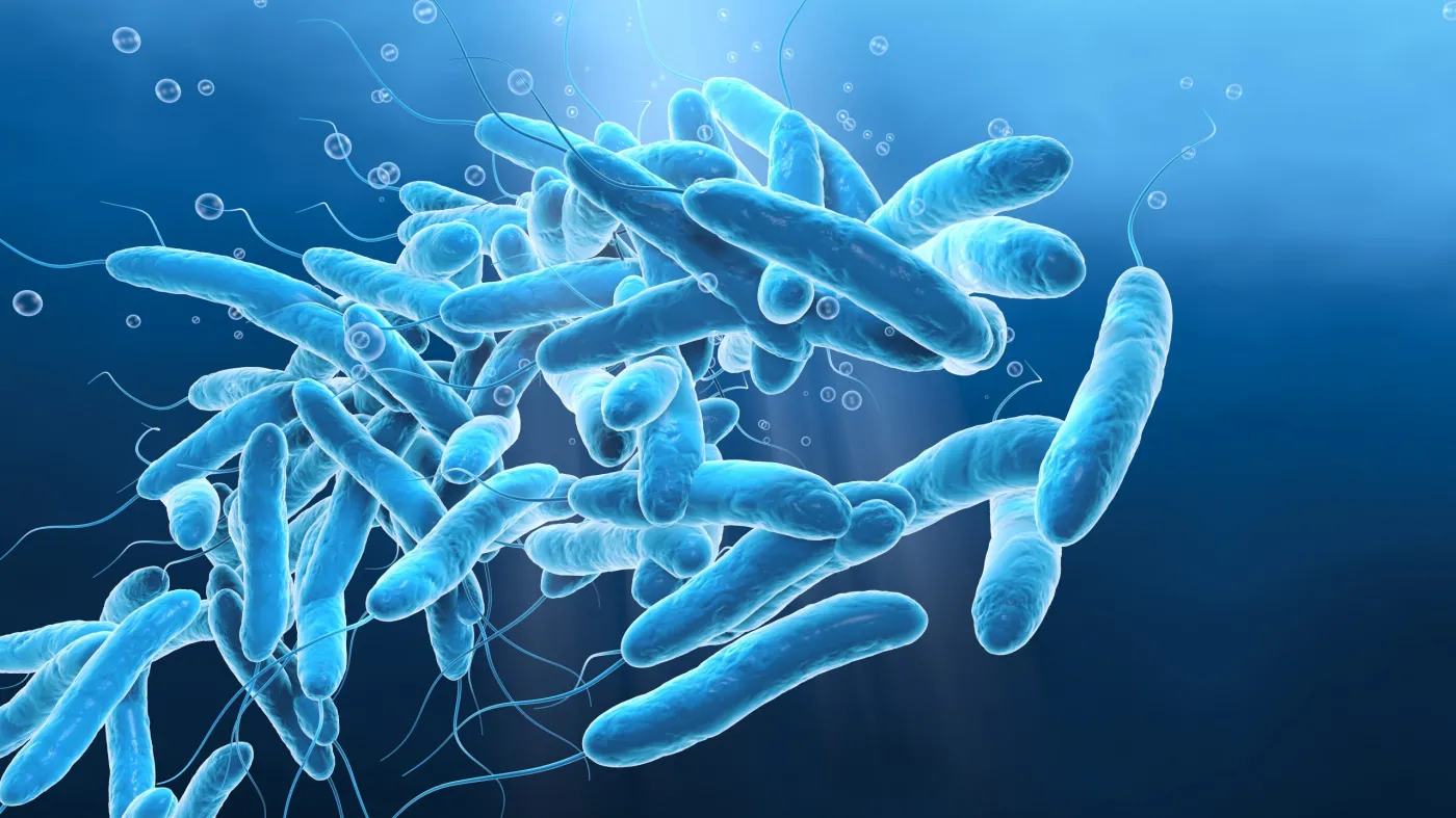 Legionella rozlewa się po Polsce. Nowe zakażenia
