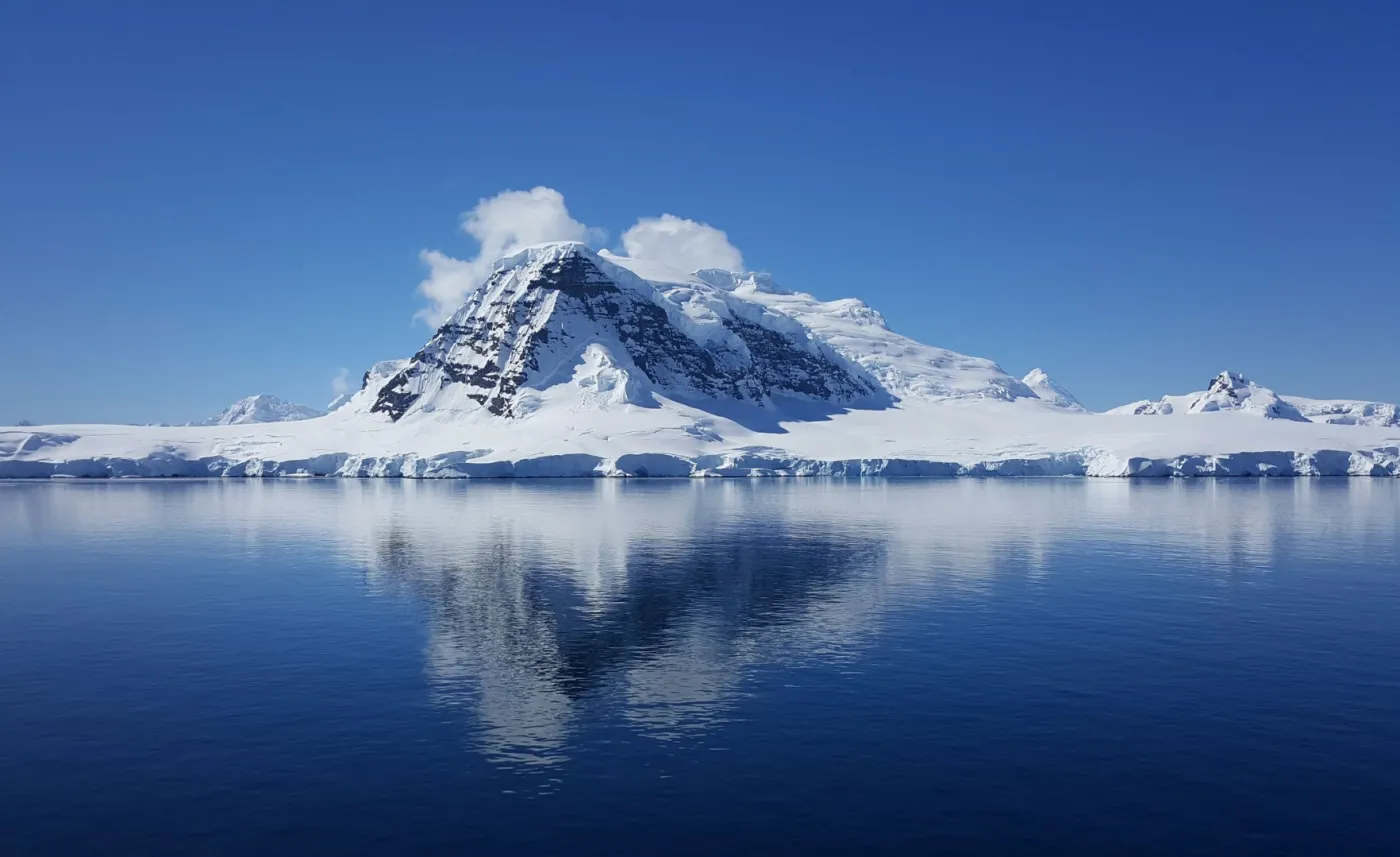Przerażające odkrycie naukowców. "Mogą trafiać do płuc ssaków i ptaków"