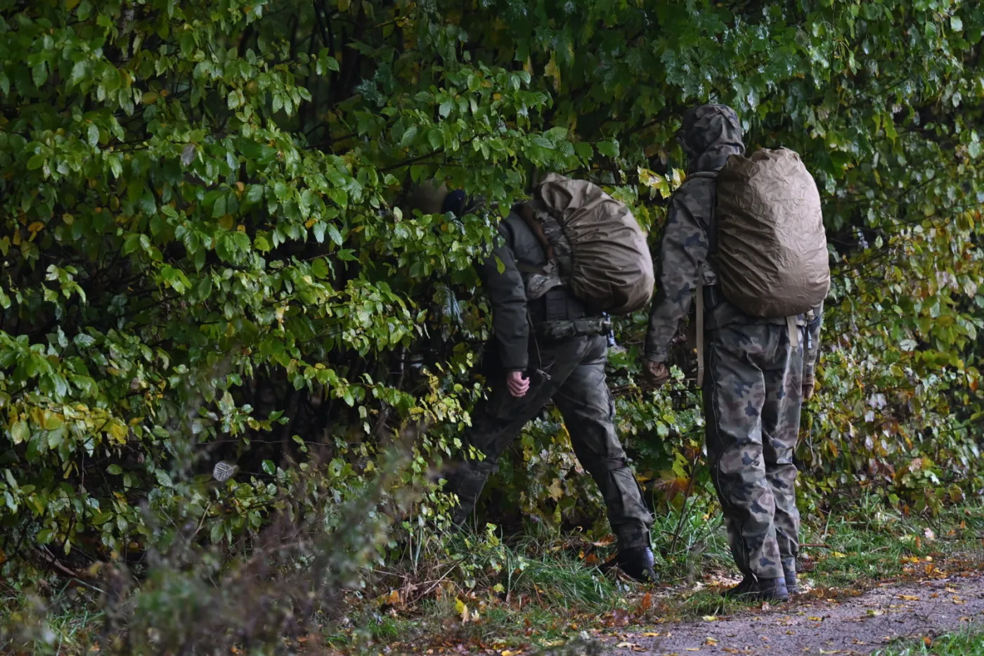 Poszukiwania Grzegorza Borysa. Młody mężczyzna celowo wprowadził policjantów w błąd
