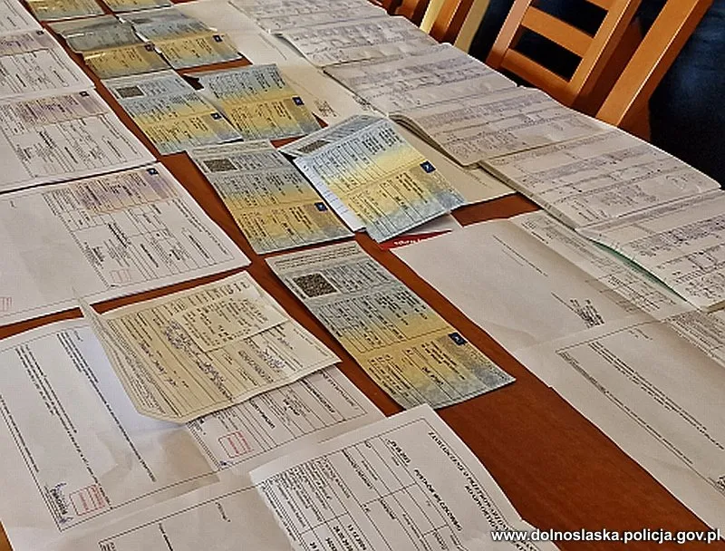policja zatrzymała diagnostów