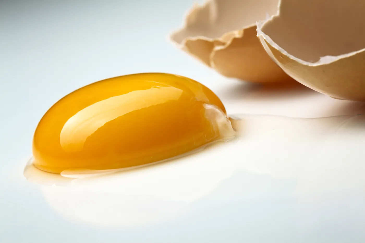 Salmonelloza powraca i bije rekordy zakażeń. Winne są polskie jaja