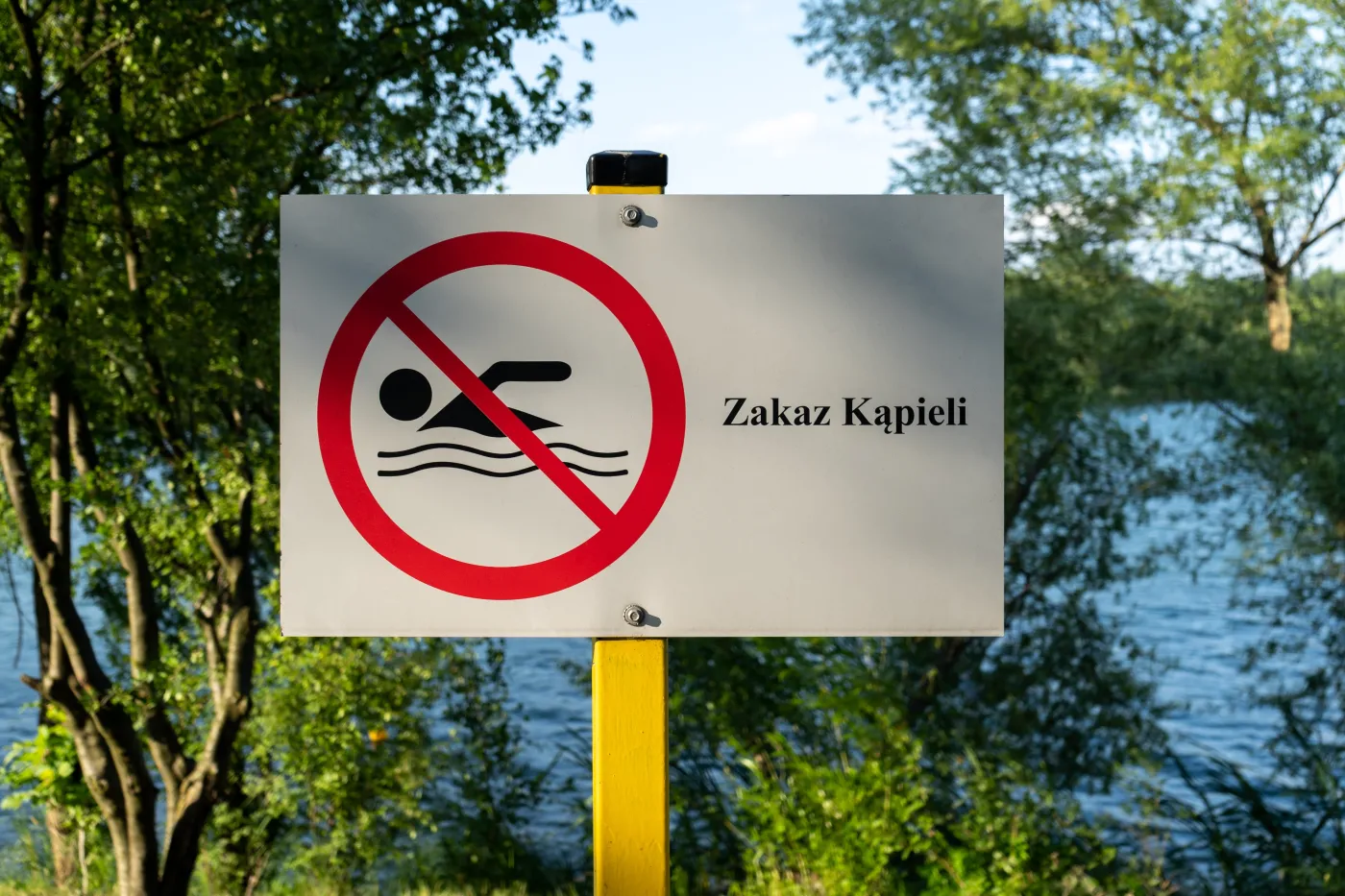 Sinice paraliżują kąpieliska. Czerwone flagi nad jeziorami