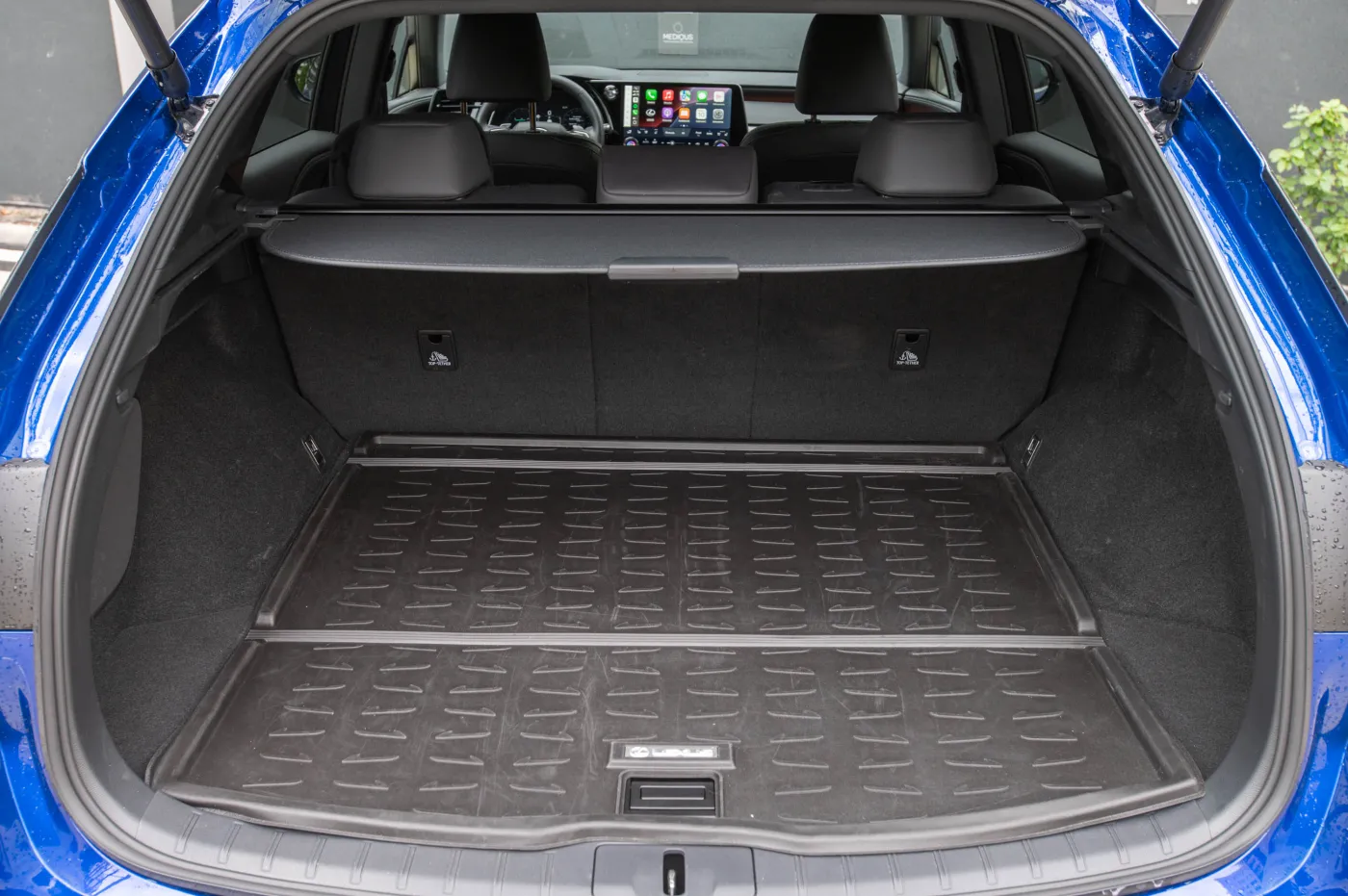 Lexus RX 450h+