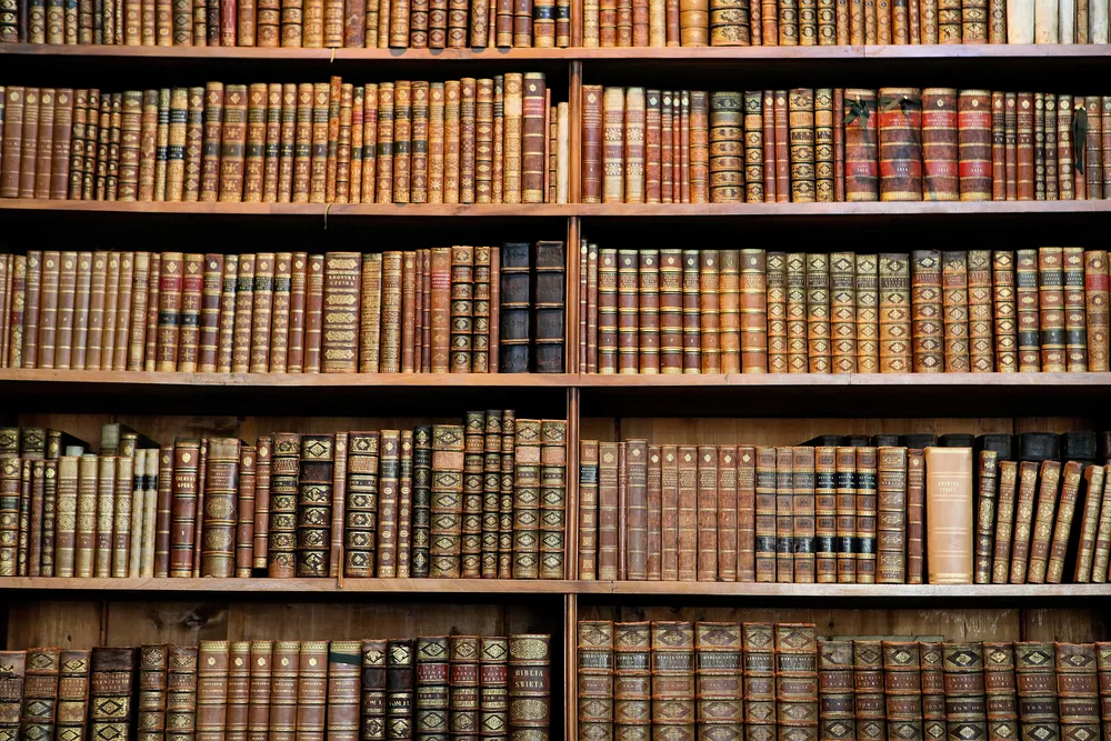 biblioteka