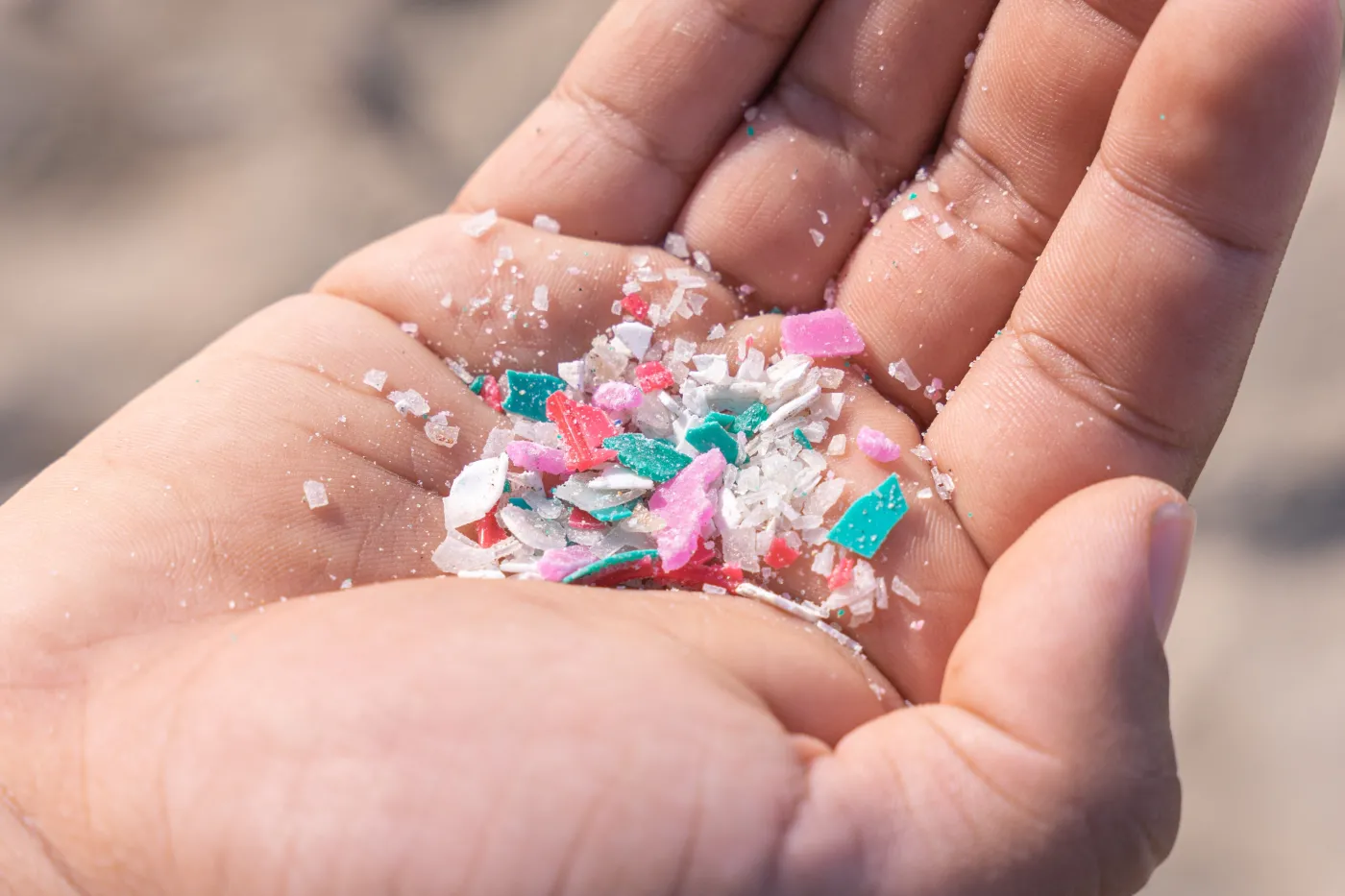 Ten grzyb jadalny usuwa w 5 minut plastik z wody. Naukowcy są zachwyceni