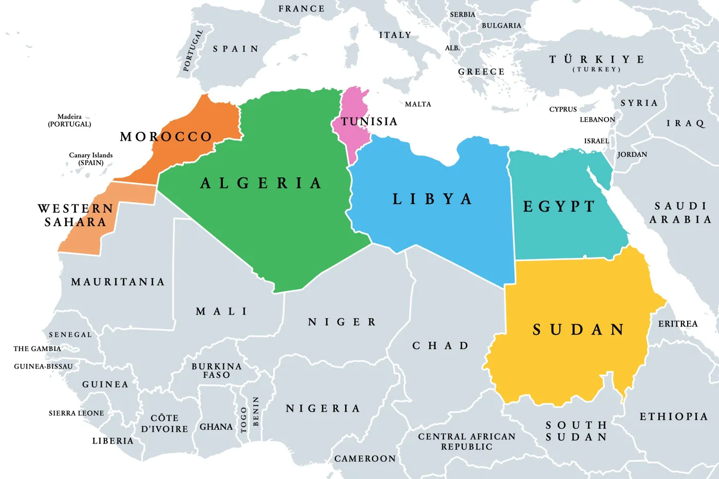 Wojna na Ukrainie w oczach państw Maghrebu