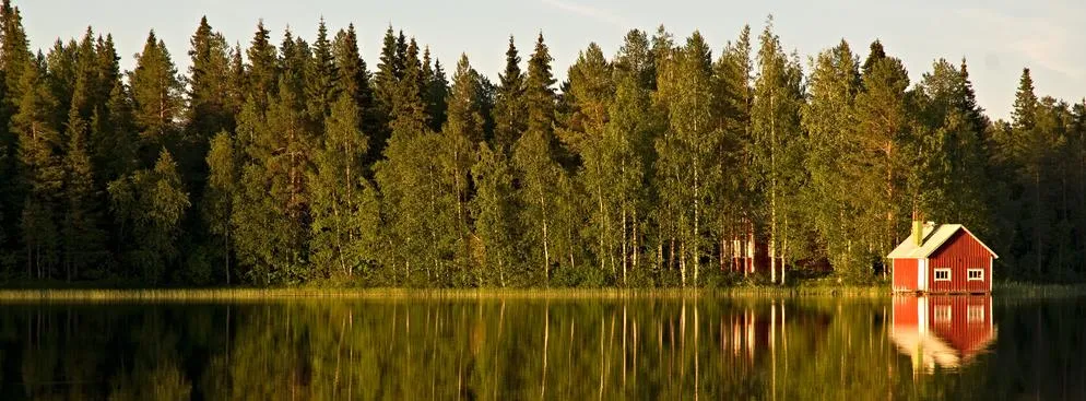 Finowie "grabią i czyszczą lasy"? Kancelaria prezydenta Finlandii prostuje słowa Trumpa