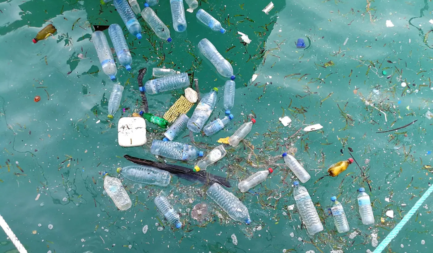 Odkryto bakterie zjadające plastik w głębinach oceanu