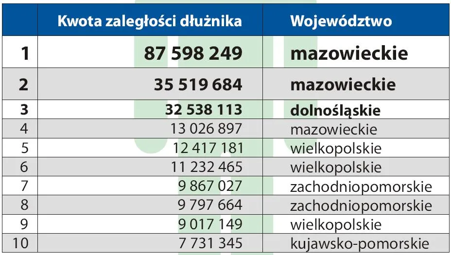najwieksi_dluznicy_346840.jpg