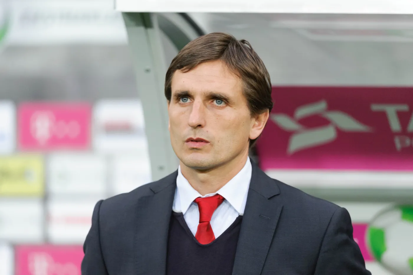 1117197-marcin-brosz-jpg.jpg