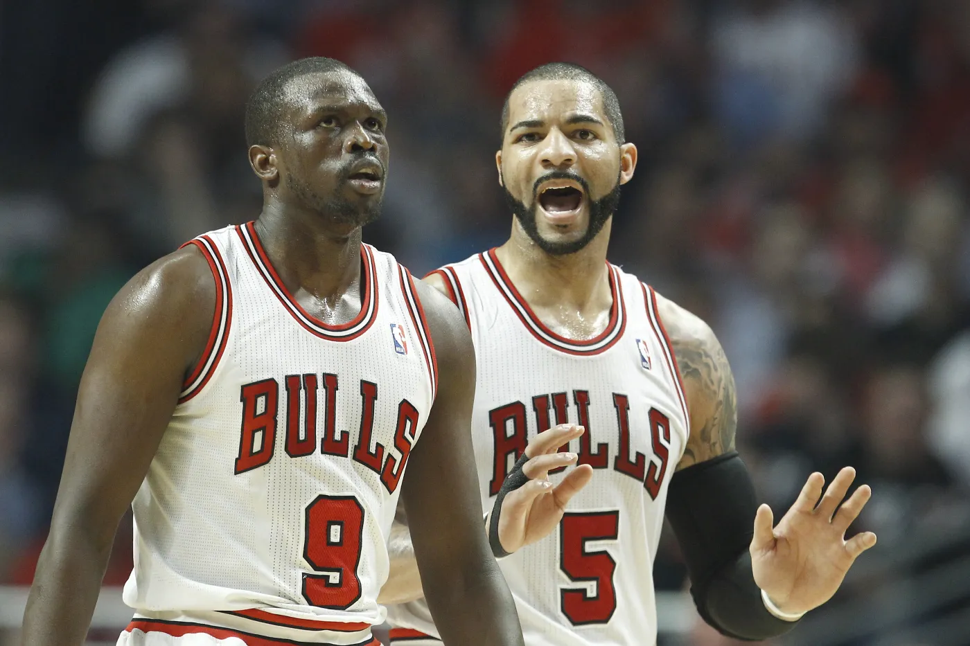 1179283-chicago-bulls-jpg.jpg