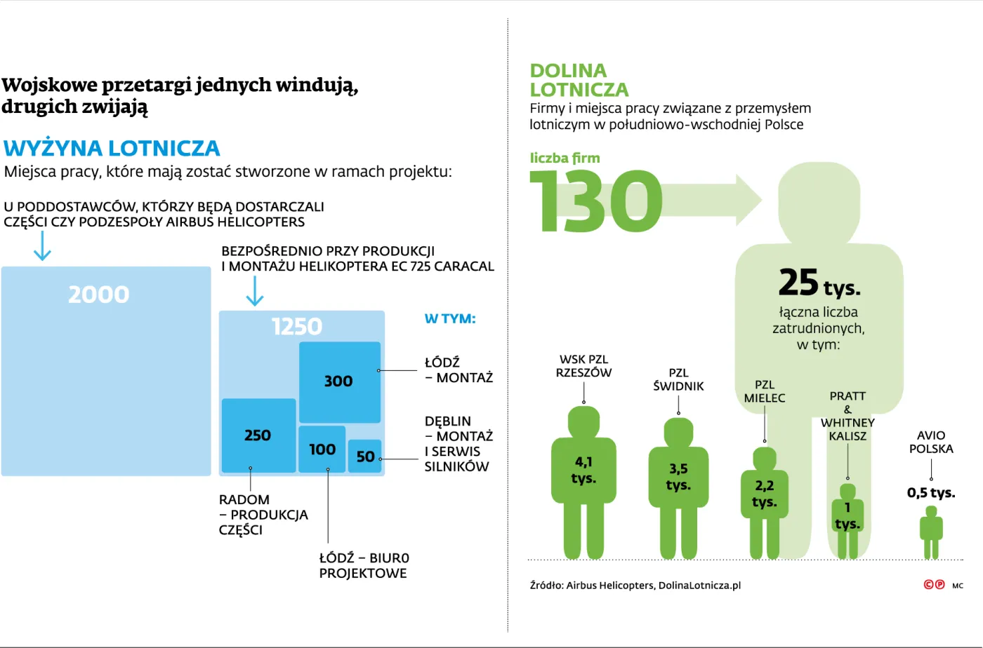 2186811-wyzyna-lotnicza.jpg