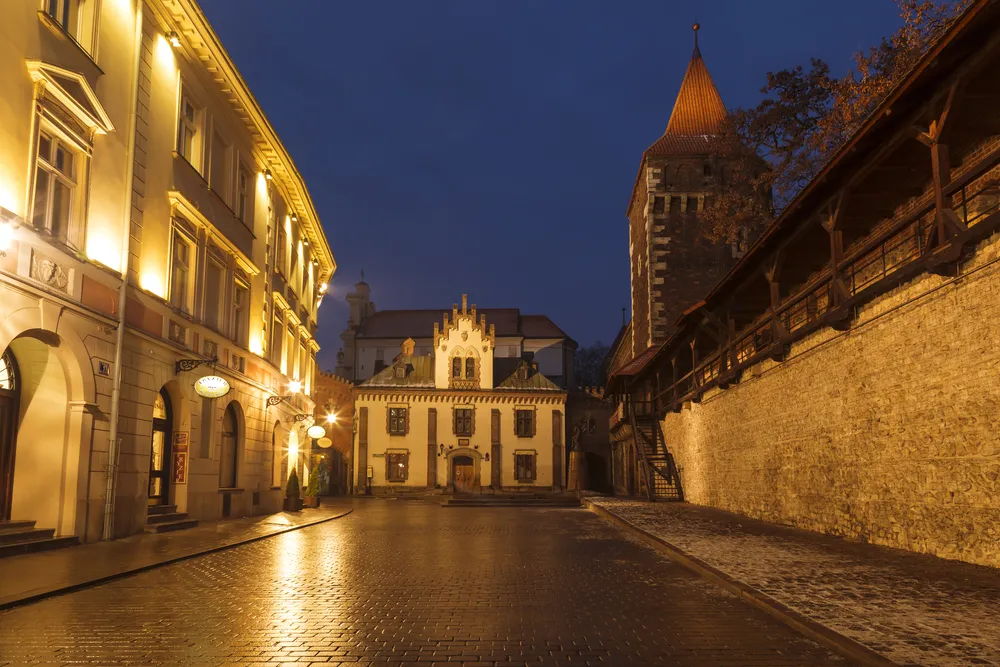 Muzeum Książąt Czartoryskich i Thesaurus Cracoviensis nominowane do Europejskiej Nagrody Muzealnej