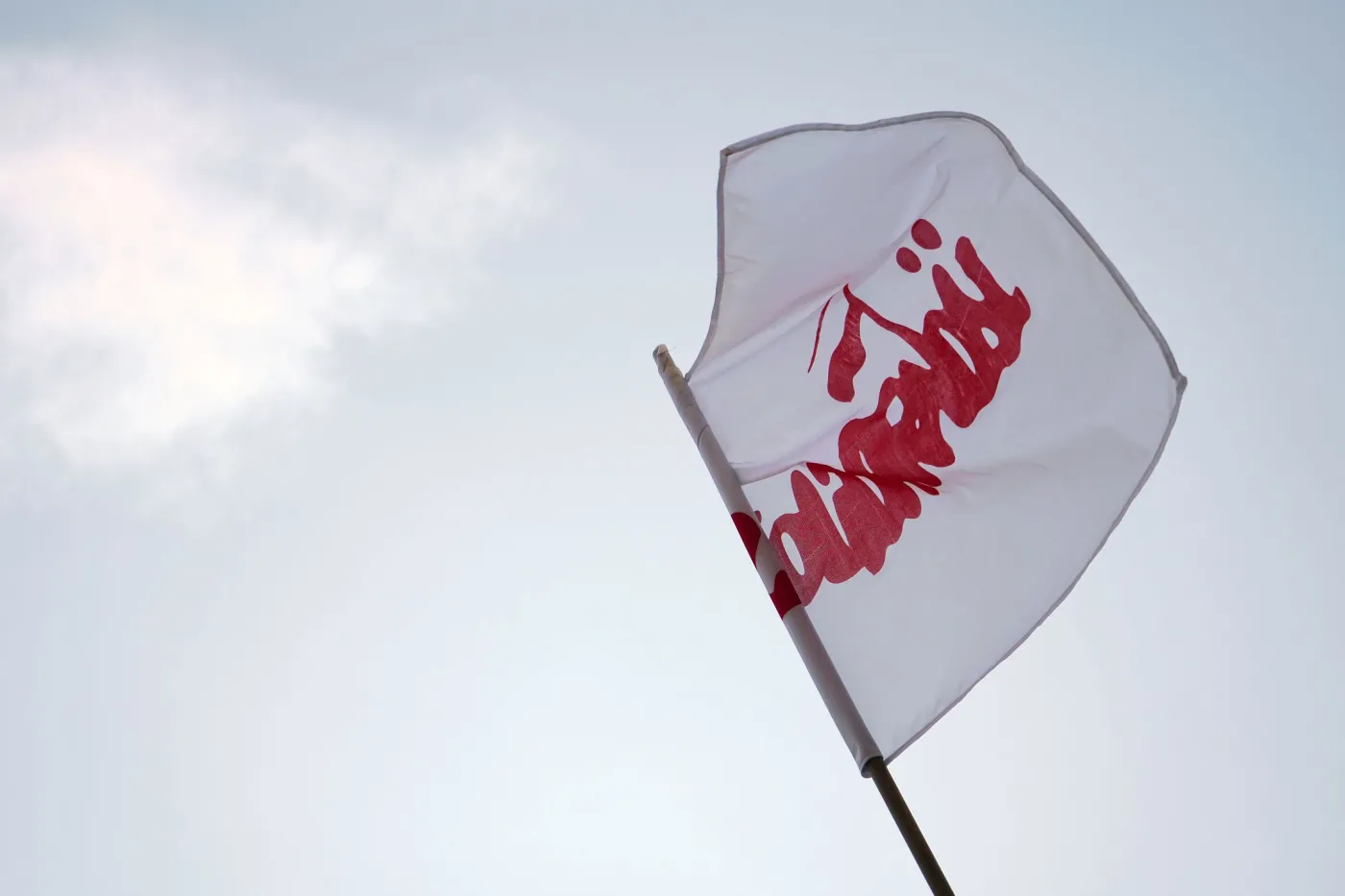 Flaga Solidarności