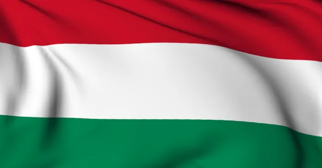 Zapewniali bezpieczeństwo ambasady Holandii. 26 Węgrów czeka na wywiezienie z Kabulu