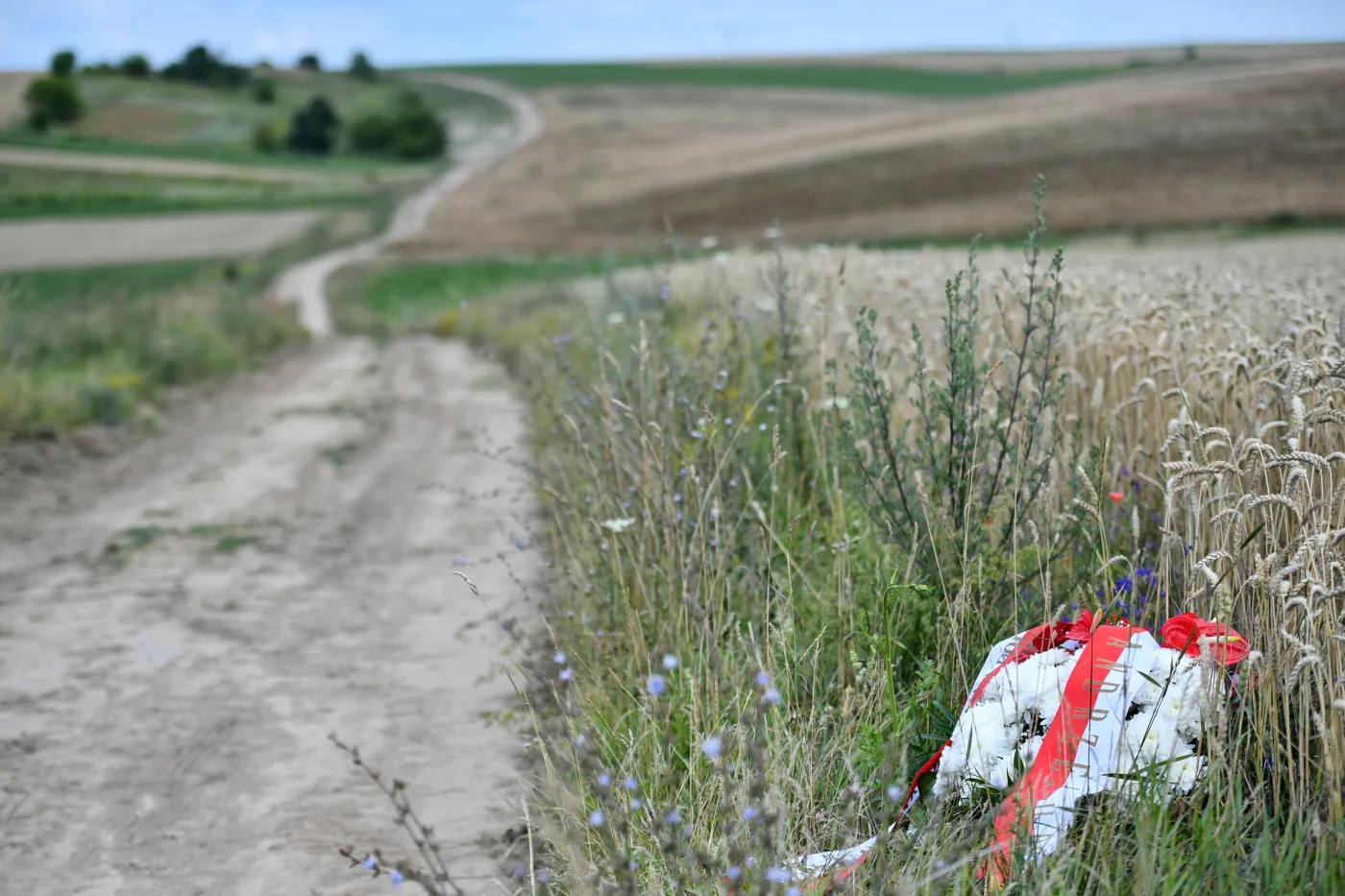 Parafianowicz: Polsko-ukraińską historią zajęli się cyniczni dyplomaci. I dobrze