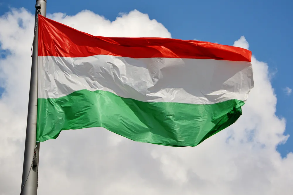 Kontrowersyjne symbole historyczne Węgier na stadionach. FARE i UEFA przyzwalają na to