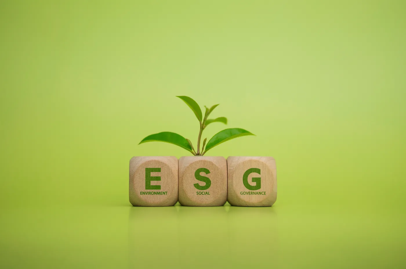 Raportowanie ESG dla wielu firm o dwa lata później