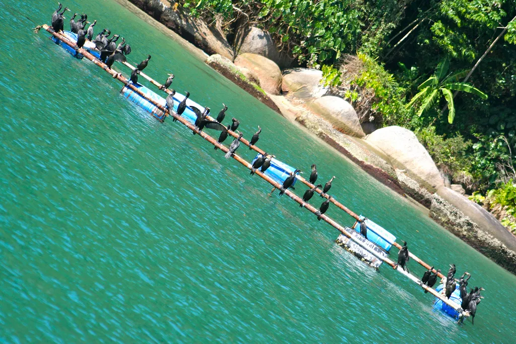 22. Paraty w Brazylii