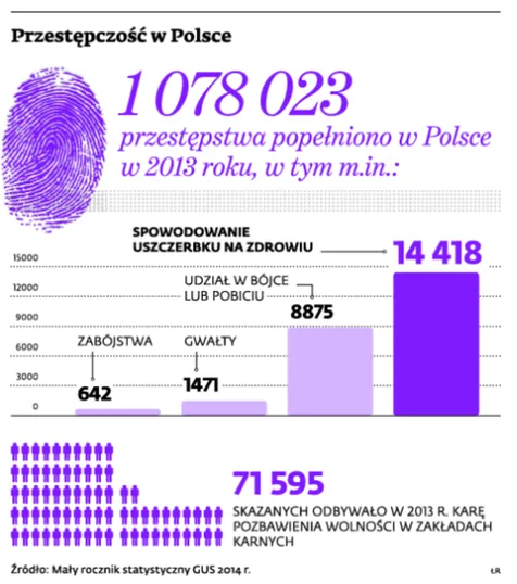 2069372-przestepczosc-w-polsce.jpg