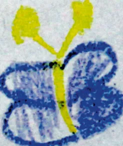 2198950-i02-2015-104-000000200.jpg