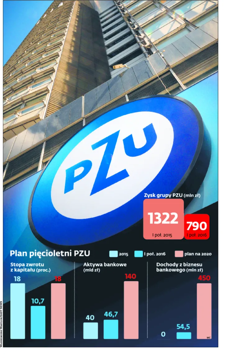 2642927-plan-piecioletni-pzu.jpg