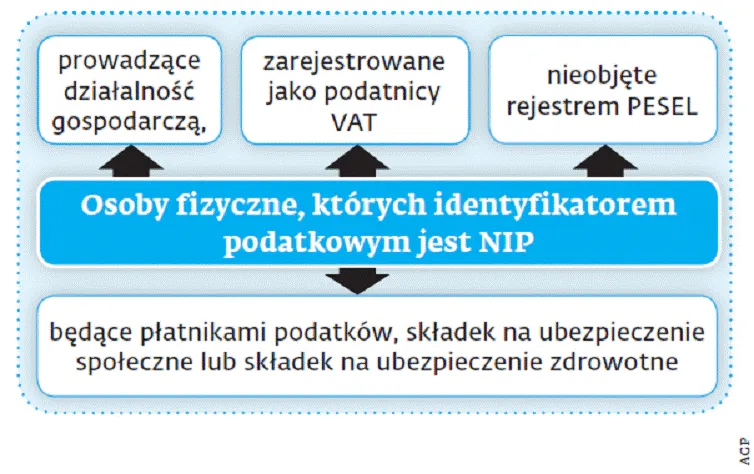 Podmiot wnoszący podanie musi podać identyfikator podatkowy